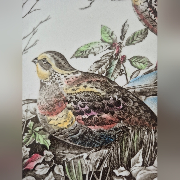 Cottage Core Style-Quail Ironstone Johnson Brothers Oval Collectors Plate-9 3/8" - Picture 1 of 6